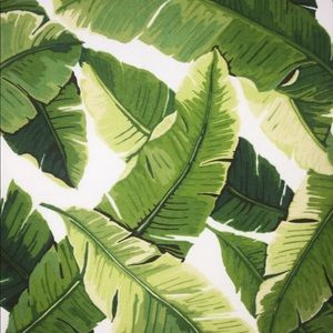 Hello & welcome to @Mommasharkbtq!